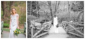 Asheville Elopement Photographer