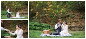 Asheville Fine Art Elopement Photographer