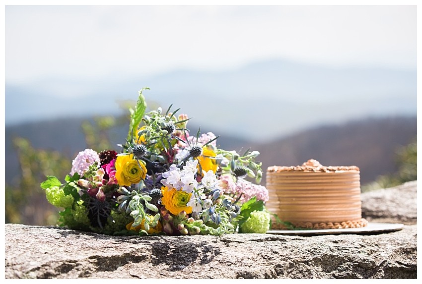 Asheville, NC Outdoor Elopement Photographer