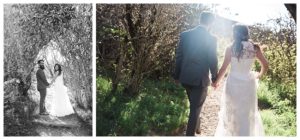 Blue Ridge Mountain Elopement Photographer