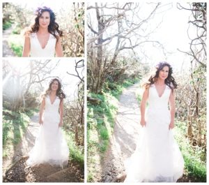 Blue Ridge Mountain Elopement Photographer