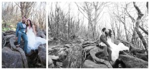 Blue Ridge Mountain Elopement Photographer