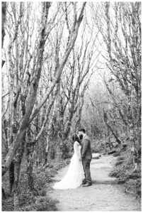 Blue Ridge Mountain Elopement Photographer