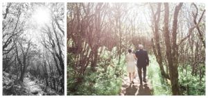 Craggy Gardens Mountaintop Elopement