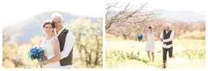 Craggy Gardens Mountaintop Elopement