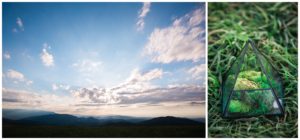 Max Patch Outdoor Elopement