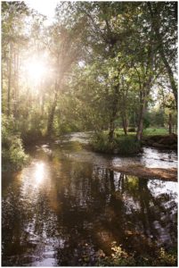 Asheville Elopement Photography at Olivette