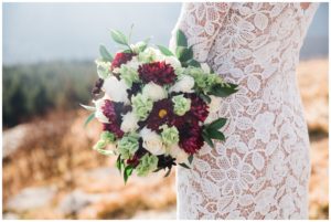 Black Balsam Mountain Elopement