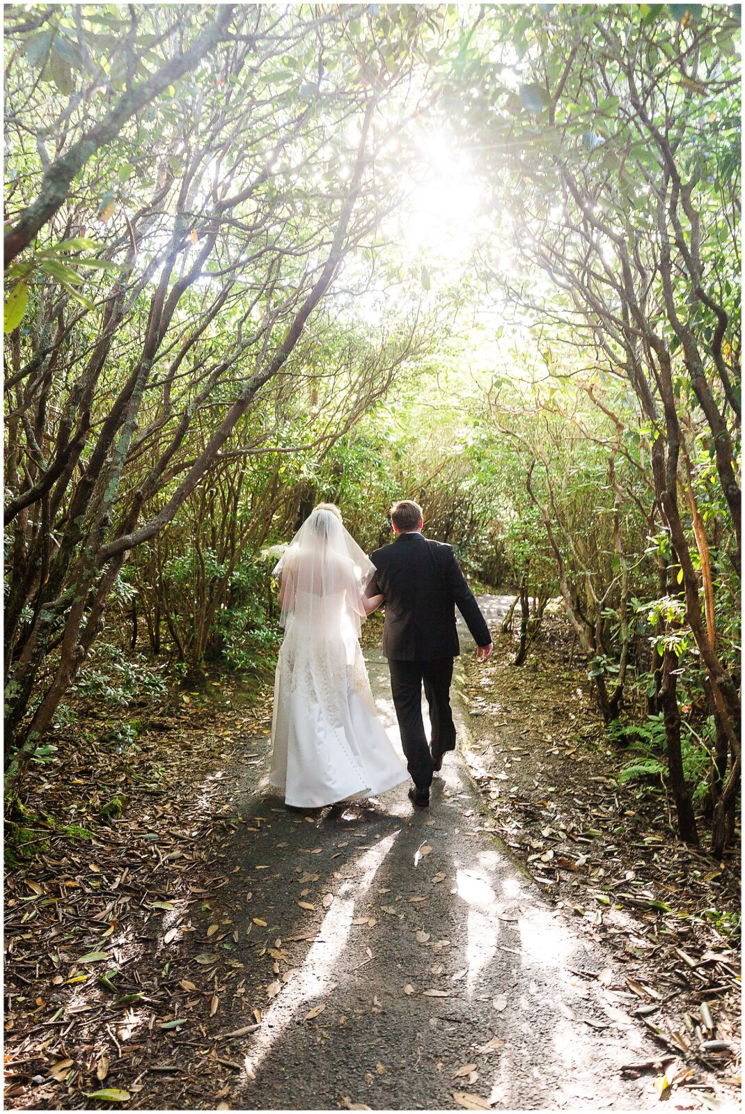 Waterfall Elopement in Asheville, NC