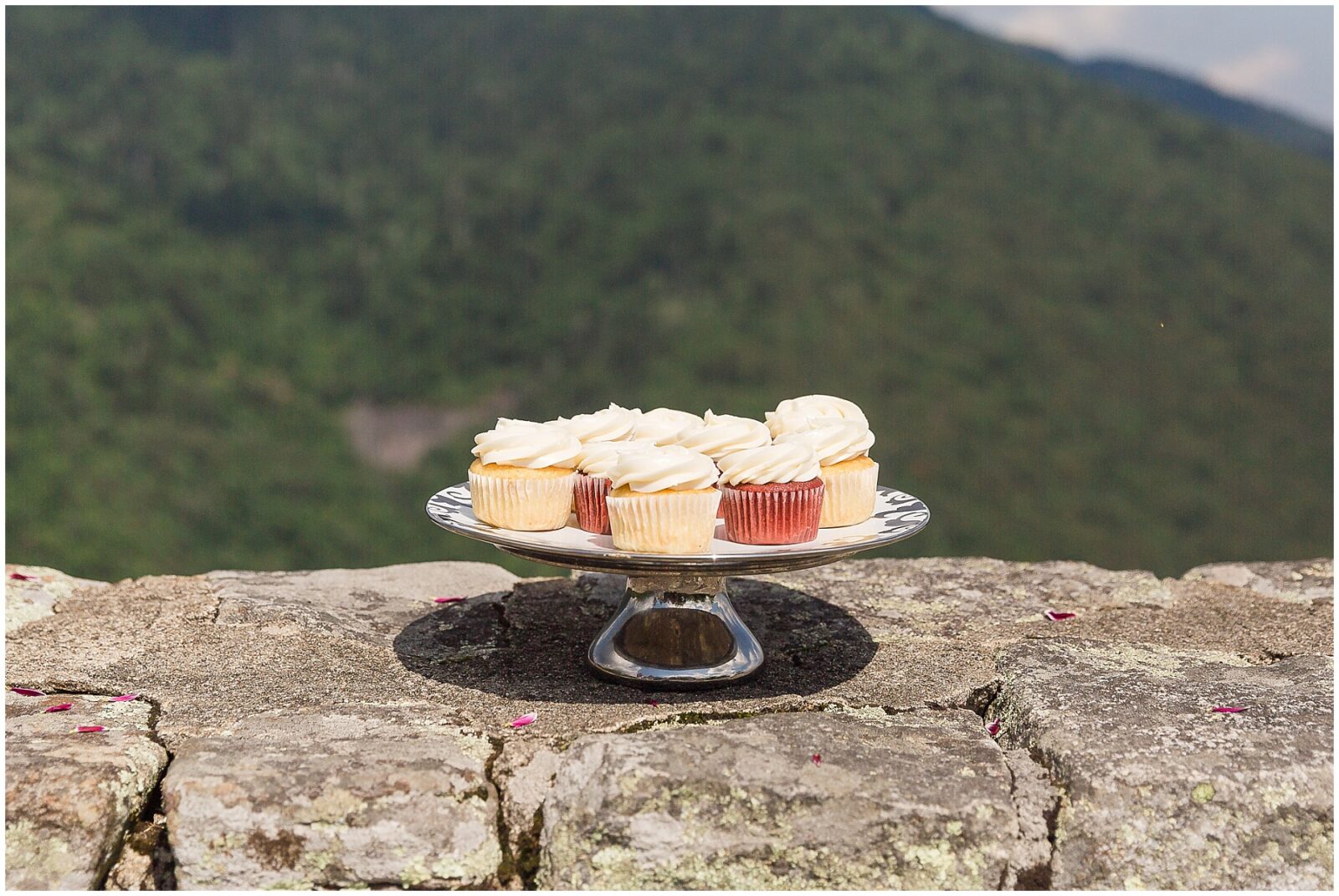 asheville elopement photographer