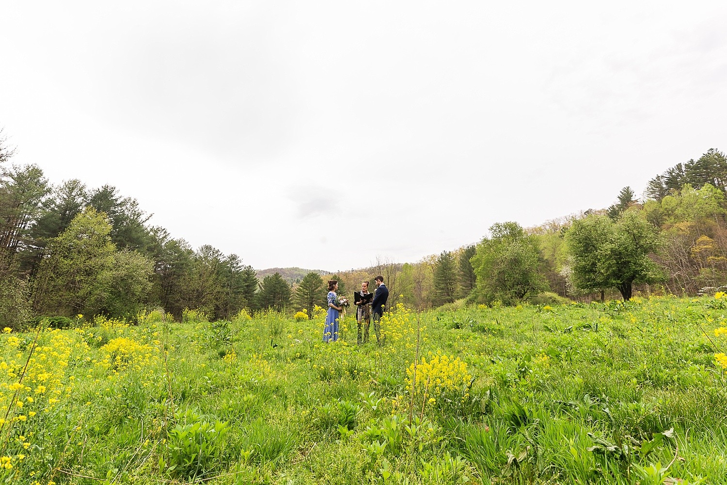 Meadow Elopement