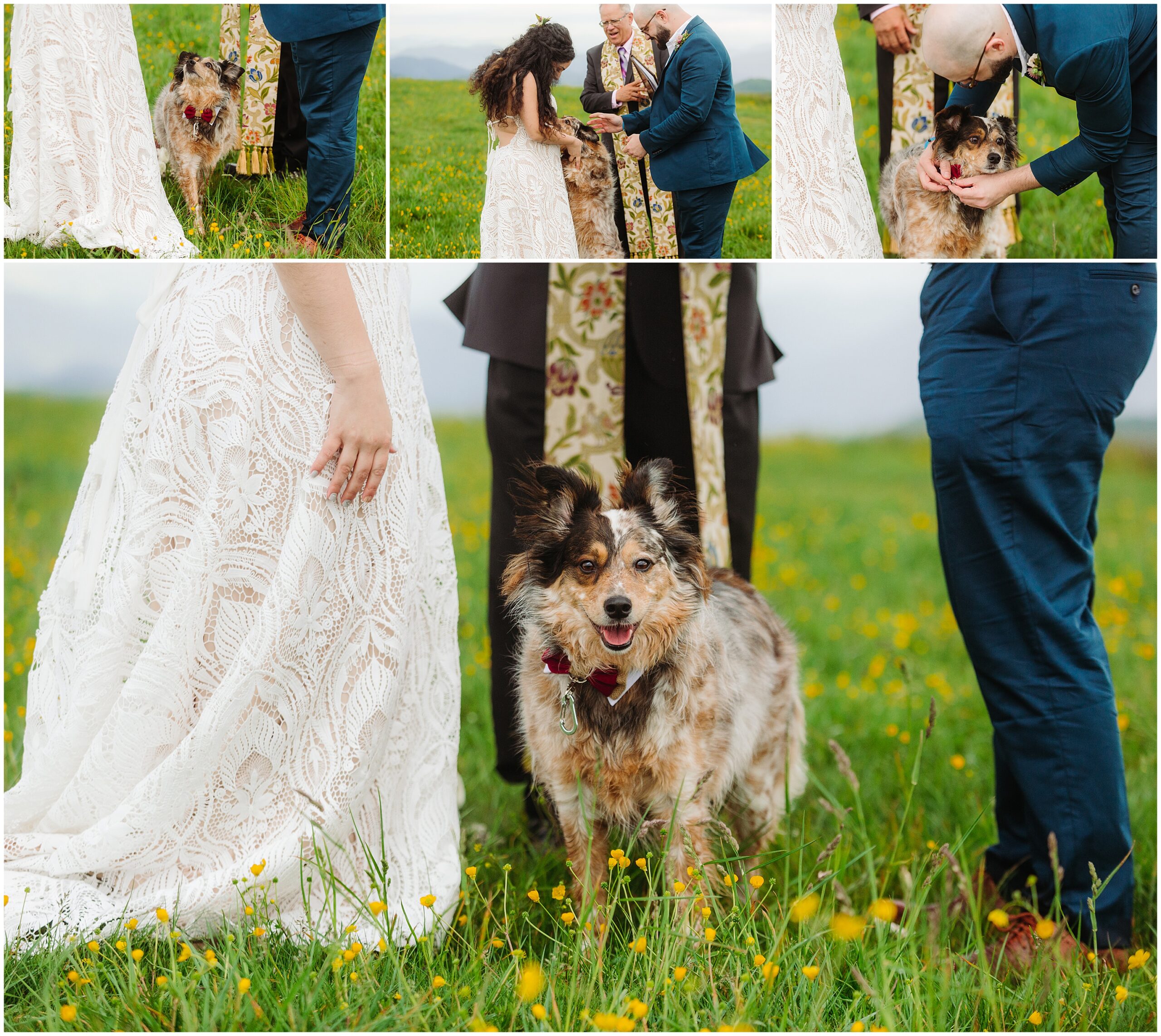 Max Patch Mountain Elopement