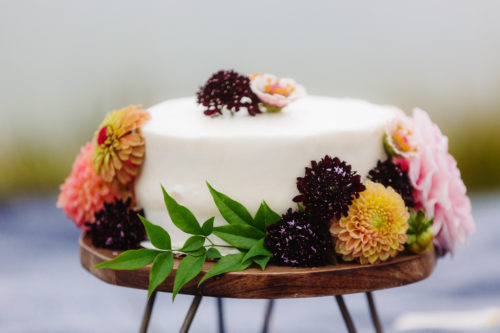 Elopement Cake for Elope Outdoors by Short Street Cakes