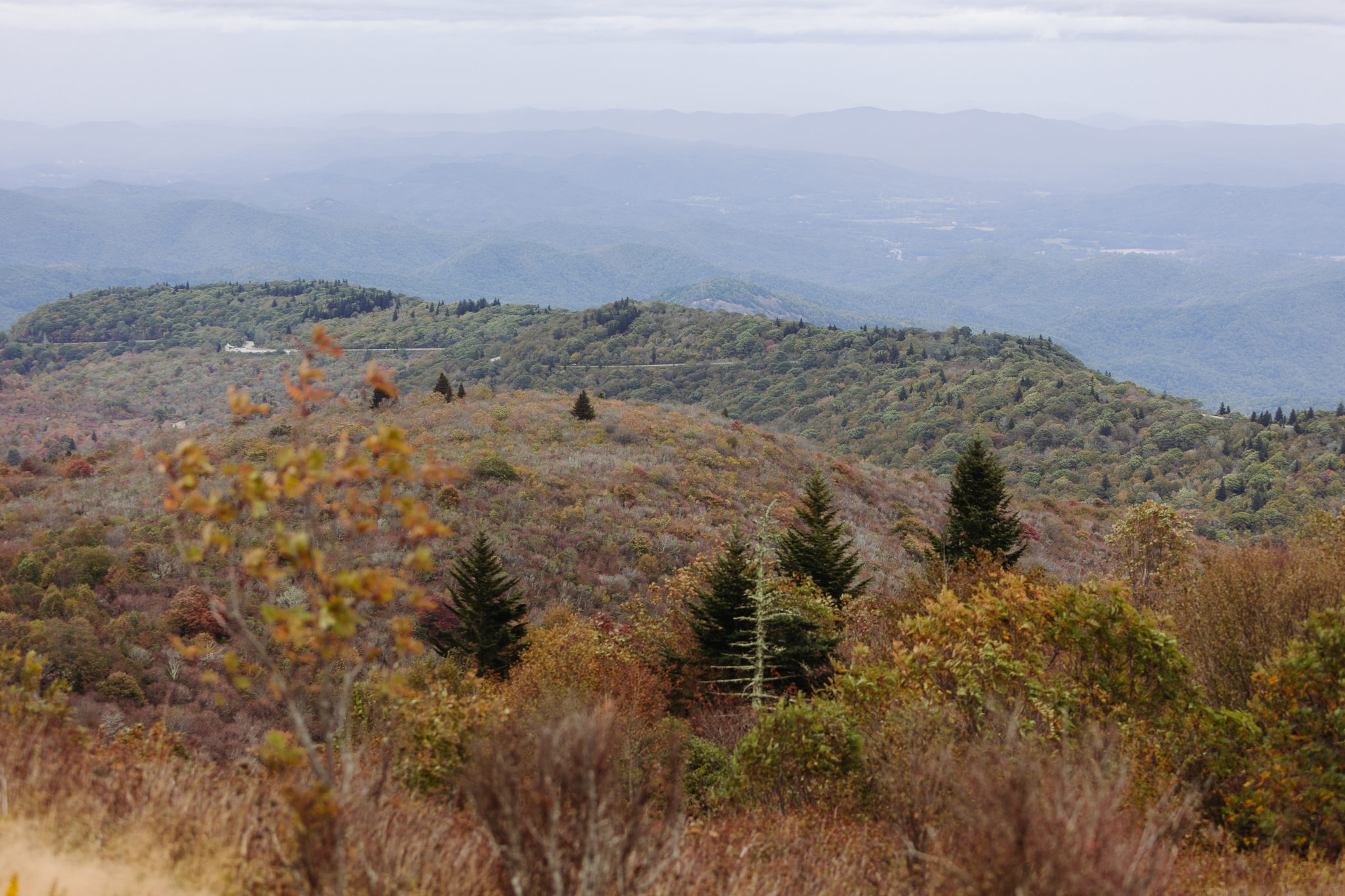 How to Cancel Your Wedding and Elope Outdoors Instead Elope Outdoors
