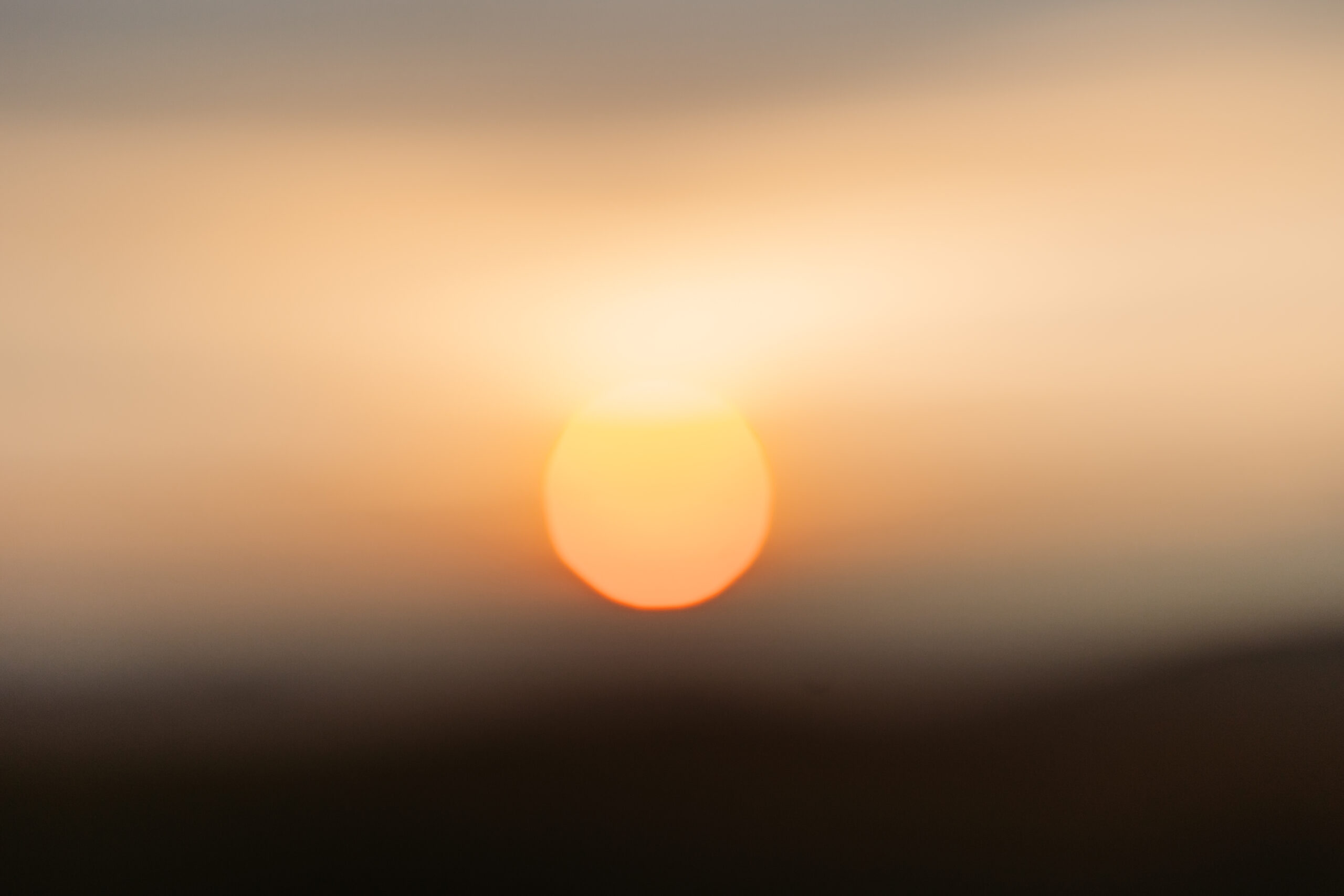 Blair&Joseph334 Elope Outdoors