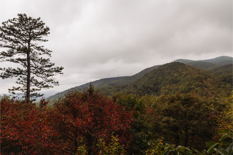 North Carolina mountains in the fall before an elopement.