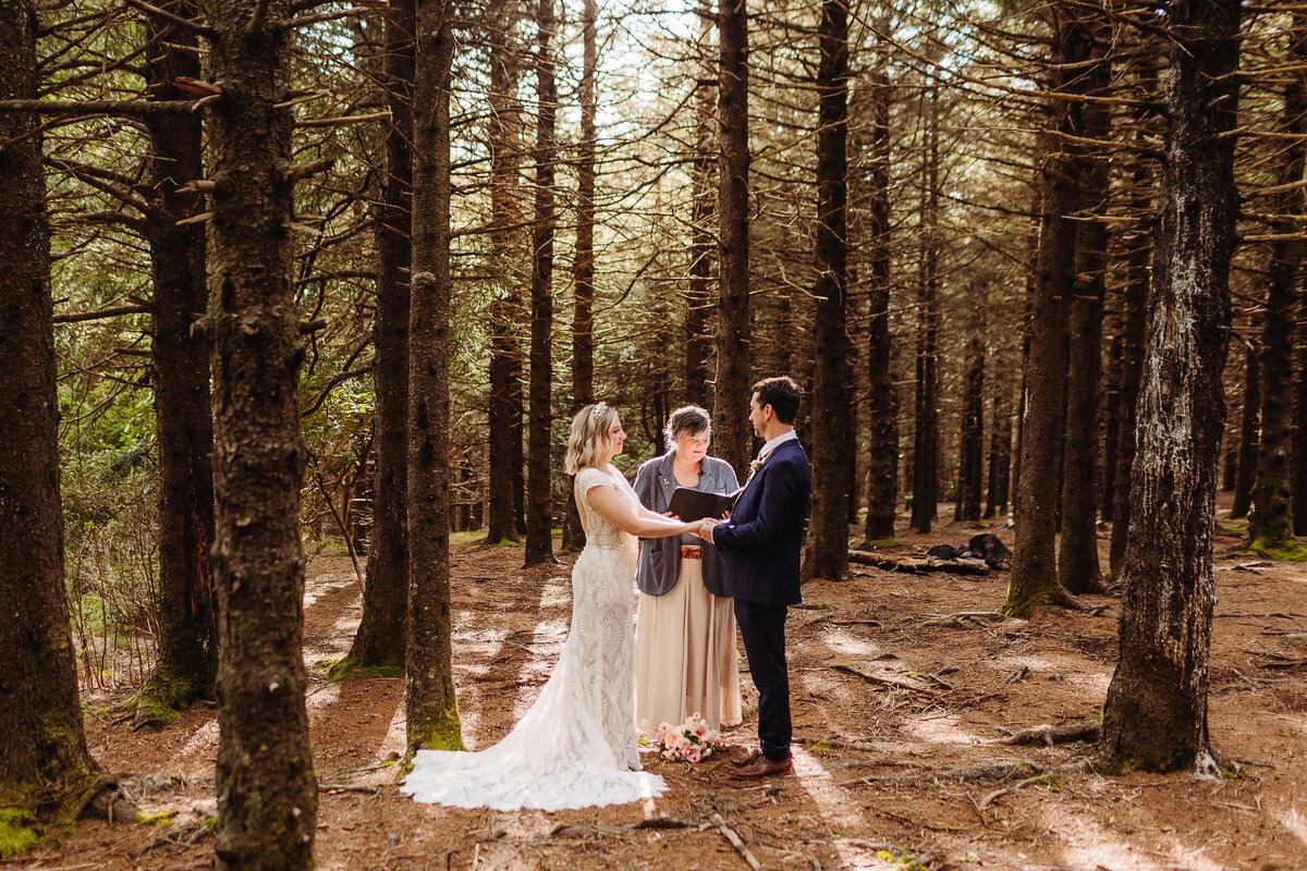 Black Balsam Knob Elopement Experience