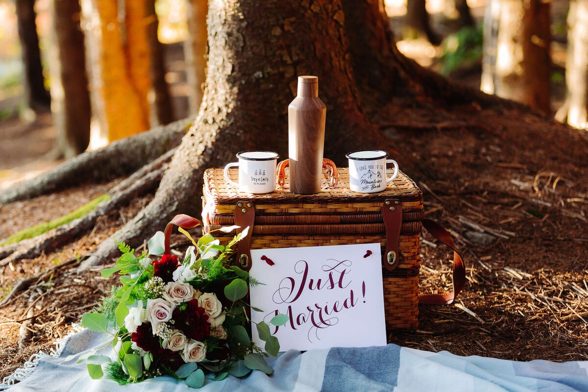 Picnic setup during a Black Balsam Knob Elopement Experience with bouquet, mugs, blanket, and “Just Married” sign.