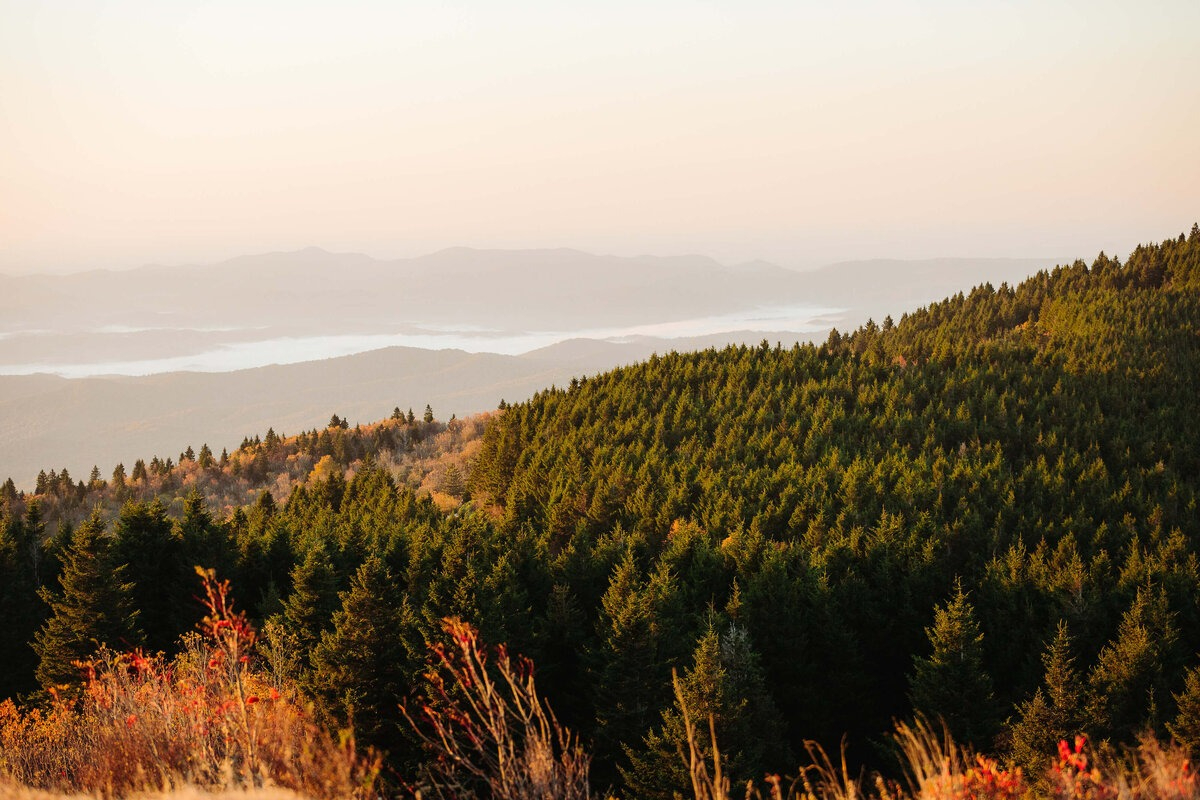 Sunrise view during a Black Balsam Knob Elopement Experience with rolling mountains and lush evergreen forest.