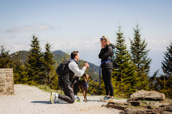 Man proposes on mountain trail with dog as woman reacts in surprise.