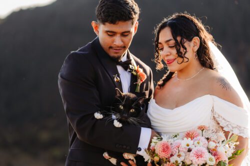 Roan Mountain Elopement Blue Ridge Mountains 