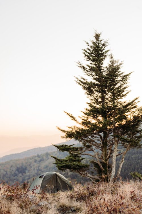 Mountaintop Campsite, Roan Mountain 