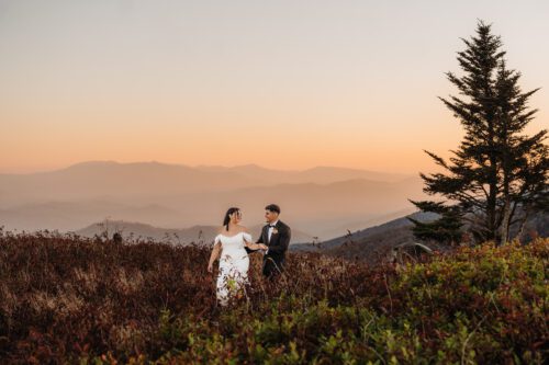 Roan Mountain Elopement Blue Ridge Mountains