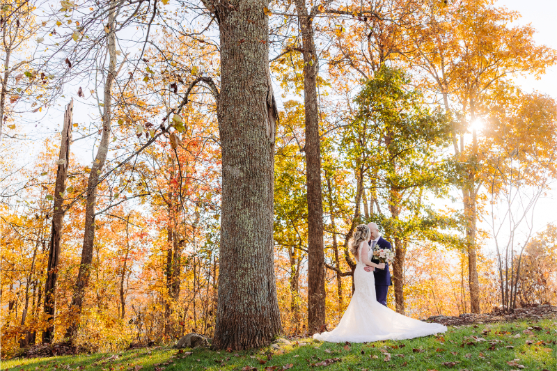Bride and groom embrace in an autumn forest, surrounded by golden trees—their dream elopement backdrop.