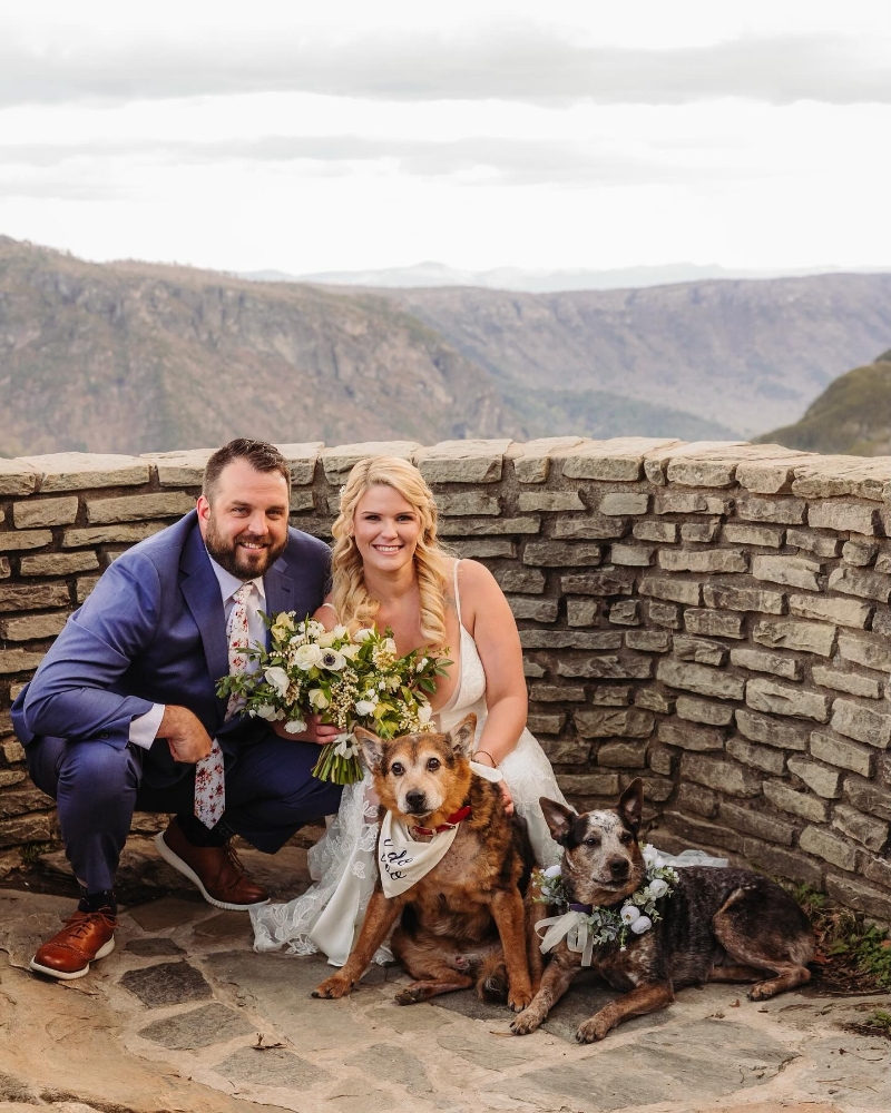 Bride and groom pose with two dogs wearing floral collars at scenic mountain overlook after elopement.