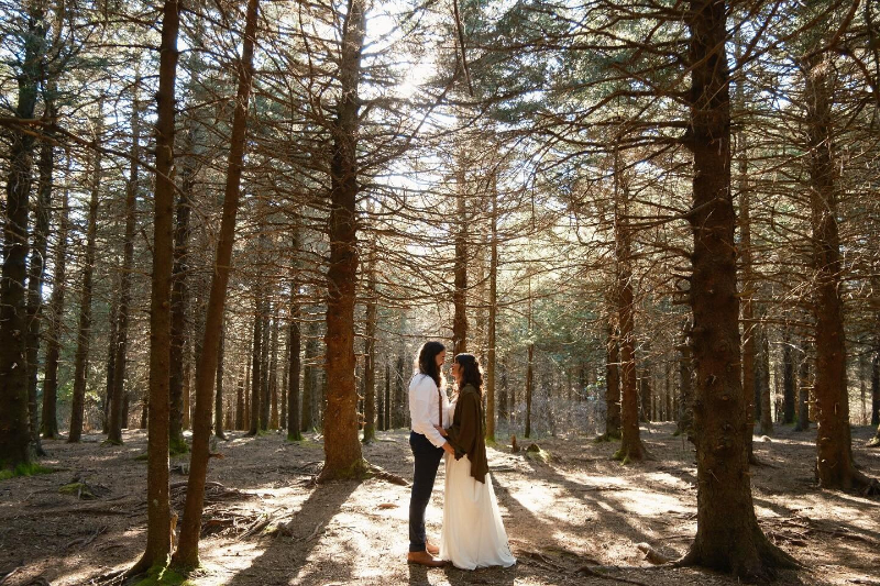 Couple standing hand in hand in secret forest elopement locations, surrounded by tall pine trees and sunlight.