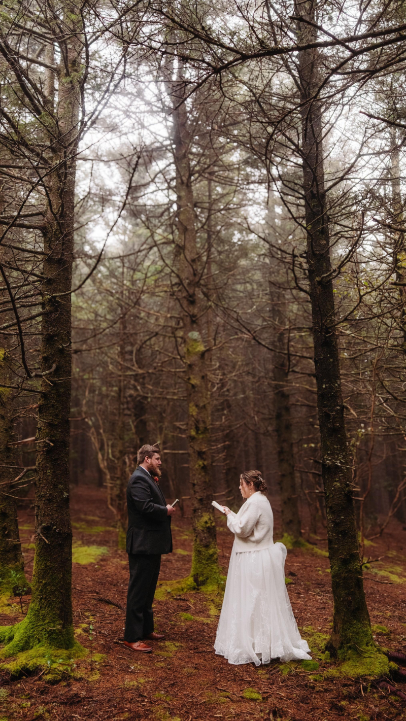 Bride and groom exchanging vows in a quiet, mossy forest surrounded by tall, bare pine trees.