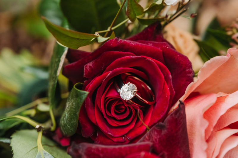 Engagement ring nestled in a red rose bouquet, symbolizing what to expect the week of your elopement.