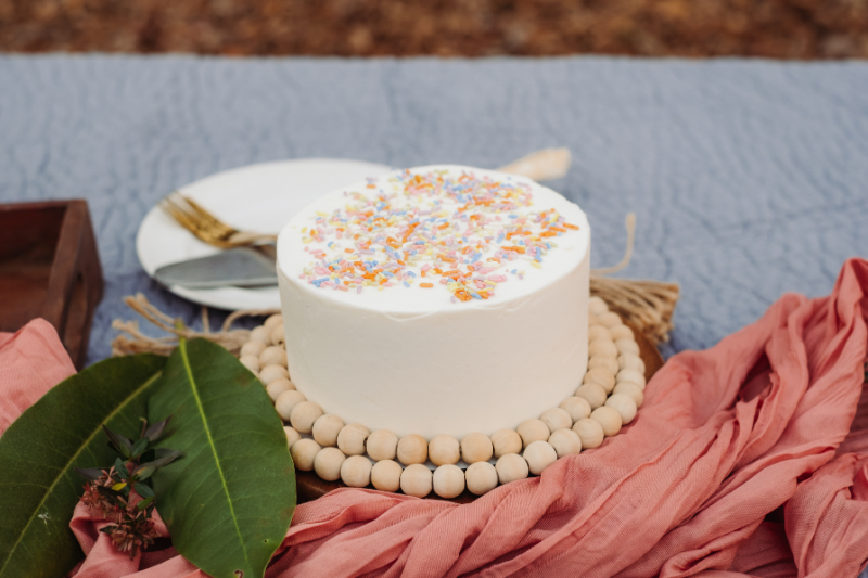 Simple white elopement cake with sprinkles, styled outdoors to follow Leave No Trace principles.
