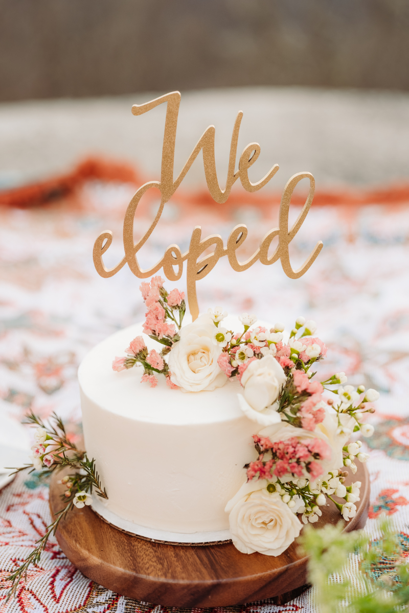 North Carolina mountain wedding cake with “We eloped” topper and fresh florals.