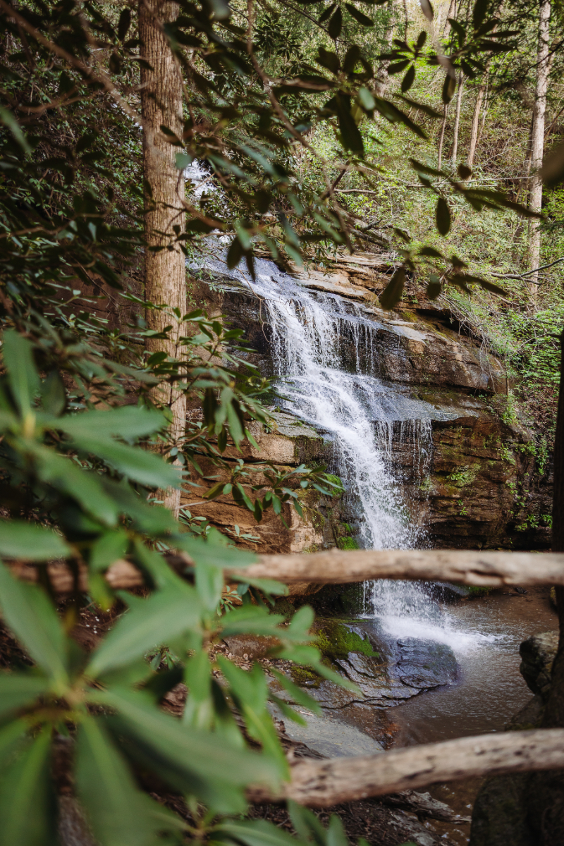 Lush forest waterfall setting for a waterfall elopement with cascading water and natural greenery backdrop