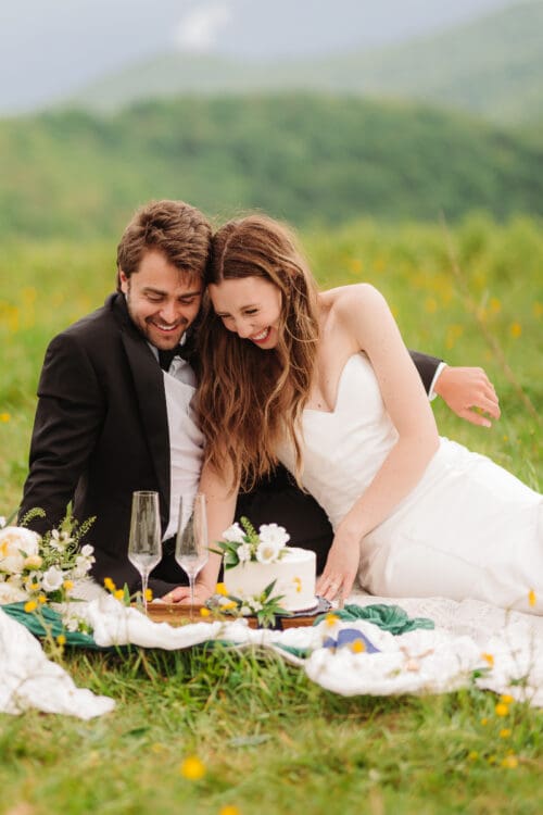 Newlyweds sharing a picnic during a remote elopement in the Blue Ridge Mountains surrounded by peaceful nature.