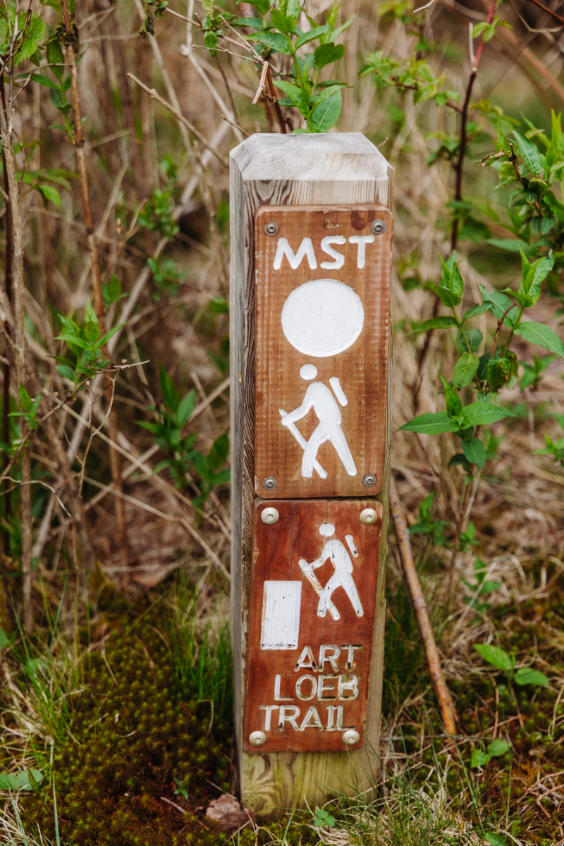 Blue Ridge Mountain wedding guidance with hiking trail marker for adventurous outdoor elopement locations
