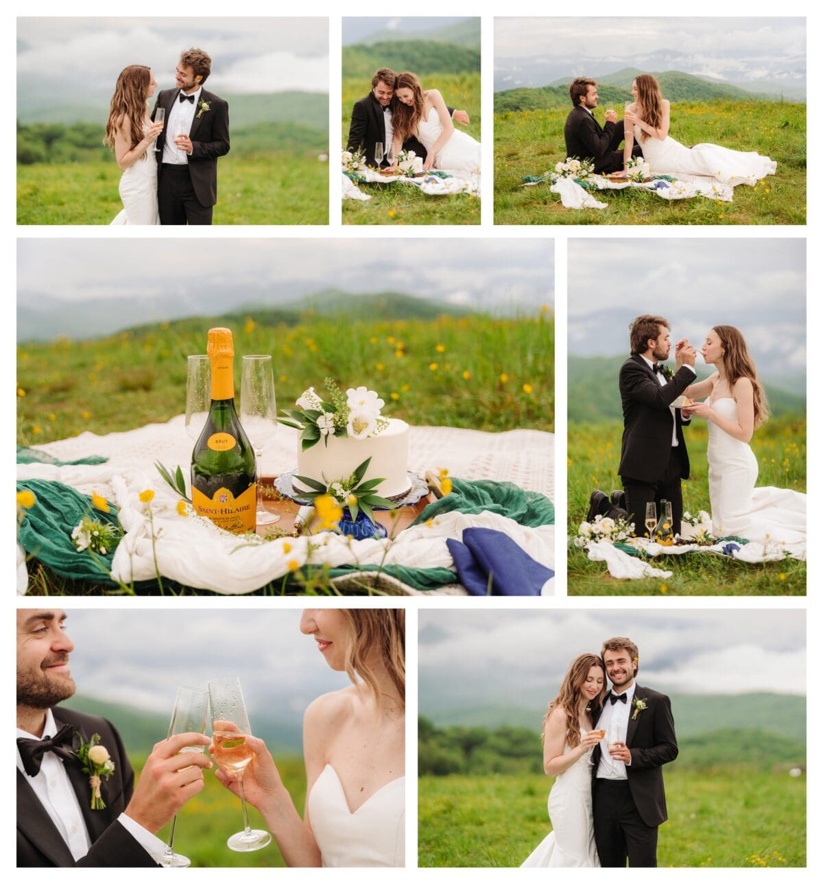 Bride and Groom sharing a bubbly toast and cake cutting on a mountaintop Asheville NC