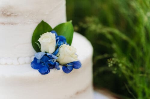 Simple white wedding cake decorated with fresh white roses and blue flowers.