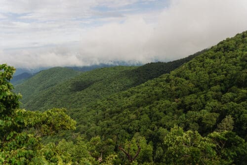 Blue Ridge Mountain landscape for an anniversary vow renewal with lush forests and peaceful mountain views.