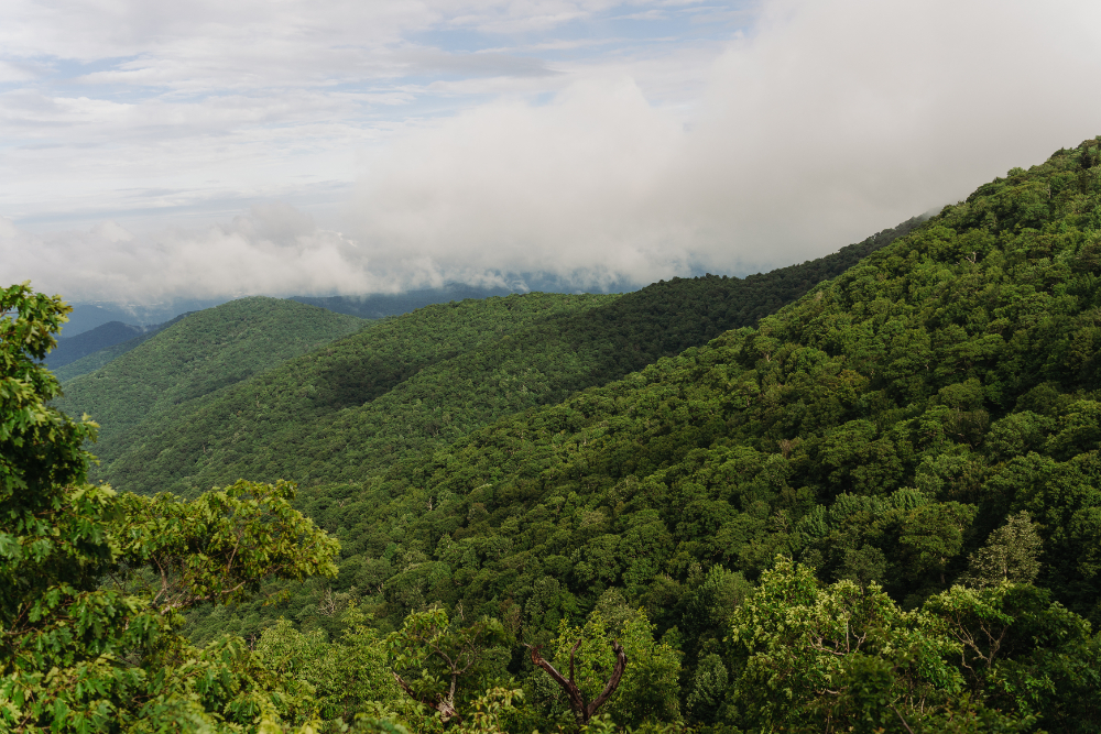 Blue Ridge Mountain landscape for an anniversary vow renewal with lush forests and peaceful mountain views.