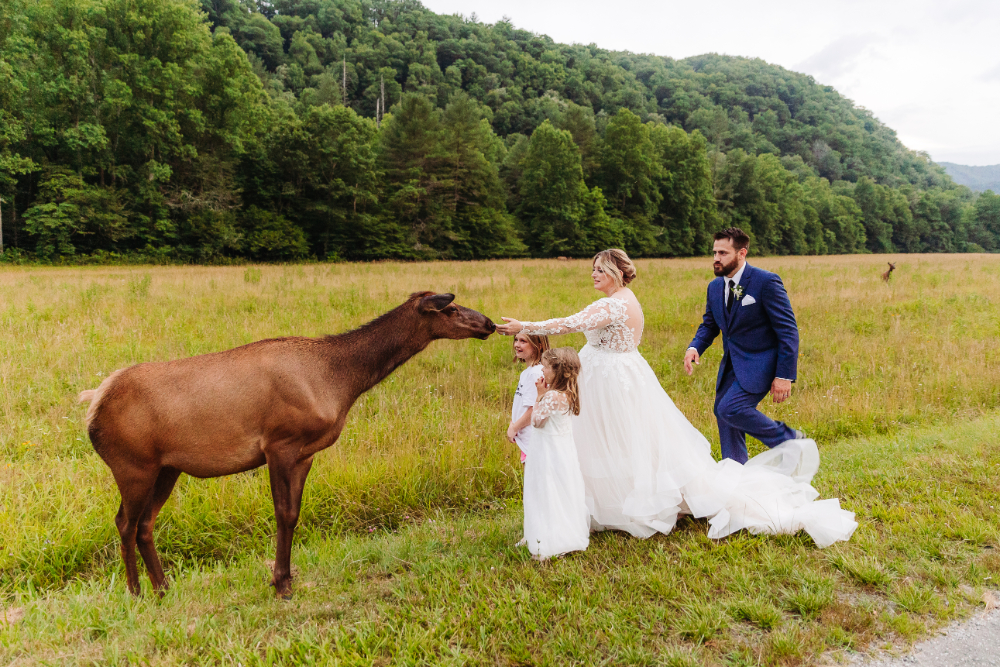 Bride reaching toward a horse as the groom and young girl join her in a mountain meadow.
