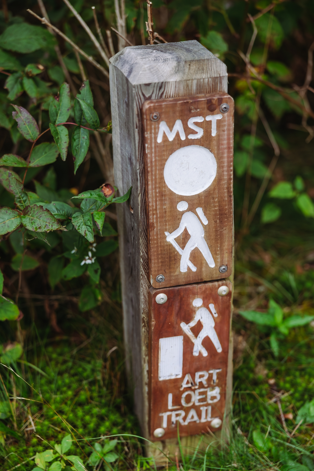 Hiking trail marker surrounded by green forest, perfect for adventurous intimate wedding ideas in nature.